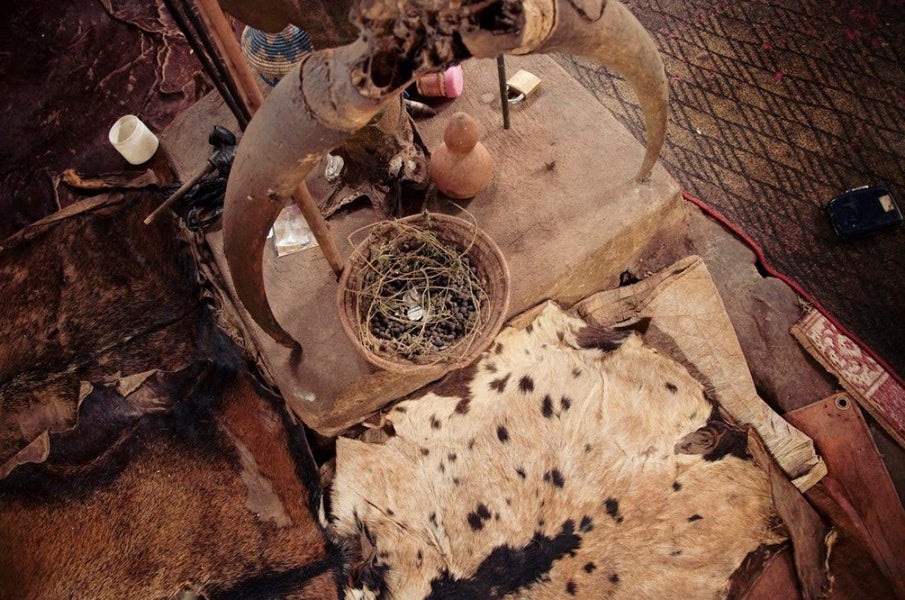 Find an Expert Spellcaster