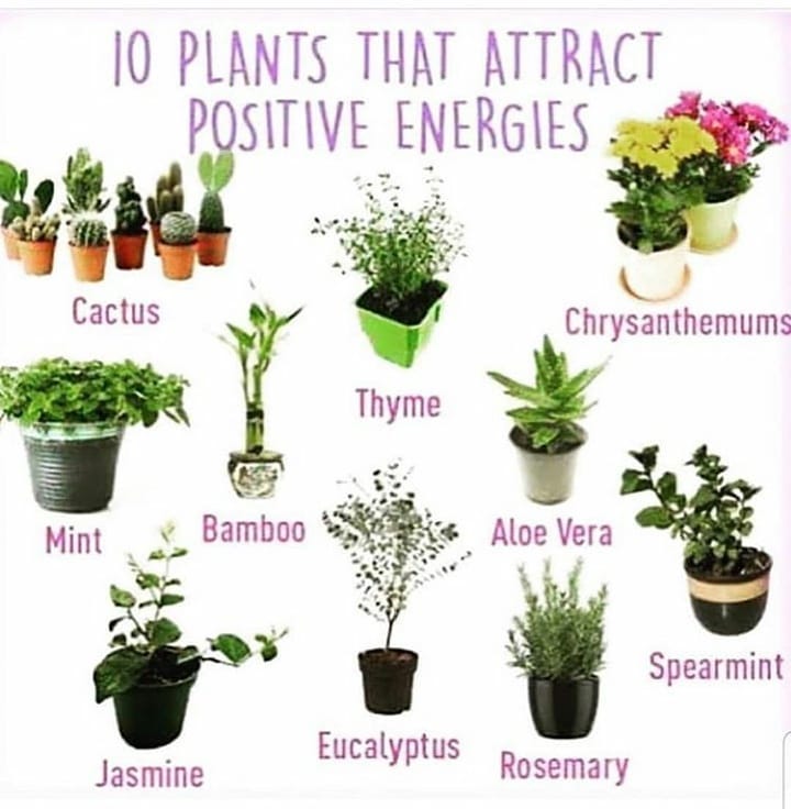 Inviting positive energy into home... - Spells and Psychics