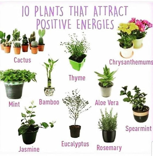 Inviting positive energy into home... - Spells and Psychics